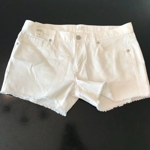 Loft Shorts